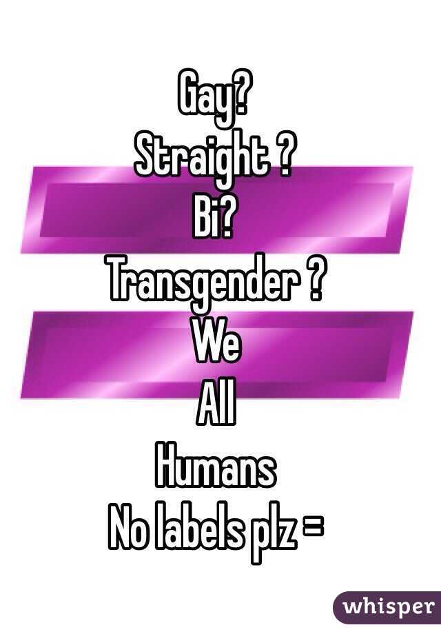 Gay? 
Straight ?
Bi?
Transgender ?
 We
All
Humans 
No labels plz = 
