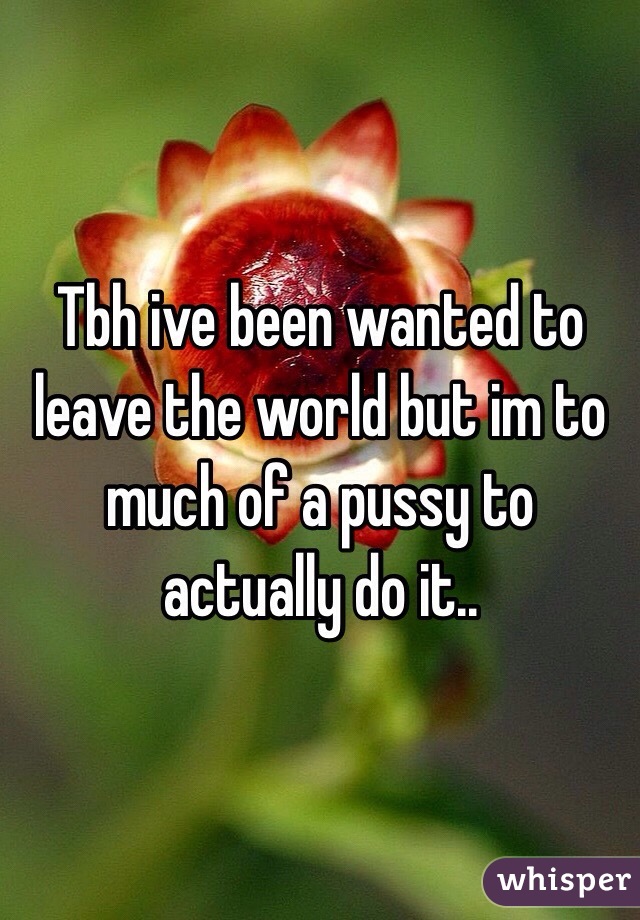 Tbh ive been wanted to leave the world but im to much of a pussy to actually do it..