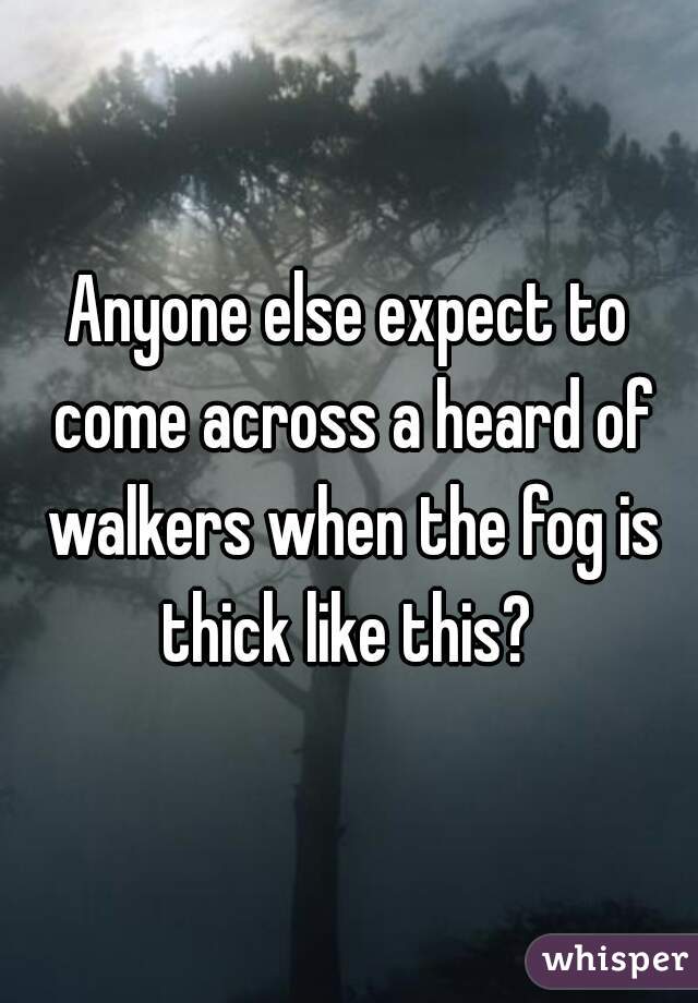 Anyone else expect to come across a heard of walkers when the fog is thick like this? 