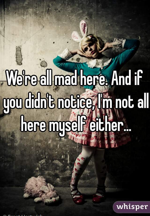 We're all mad here. And if you didn't notice, I'm not all here myself either...