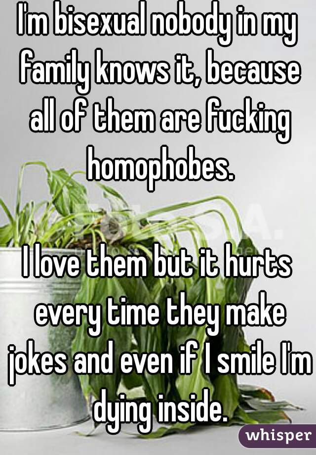 I'm bisexual nobody in my family knows it, because all of them are fucking homophobes.

I love them but it hurts every time they make jokes and even if I smile I'm dying inside.