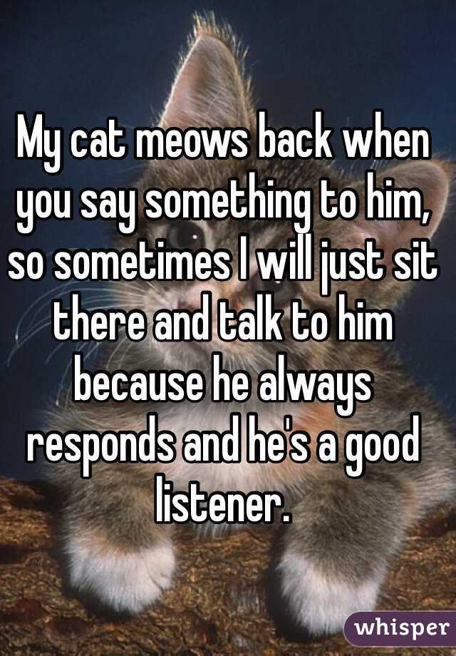My cat meows back when you say something to him, so sometimes I will just sit there and talk to him because he always responds and he's a good listener.