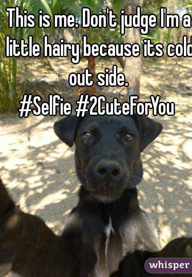 This is me. Don't judge I'm a little hairy because its cold out side. 
#Selfie #2CuteForYou 