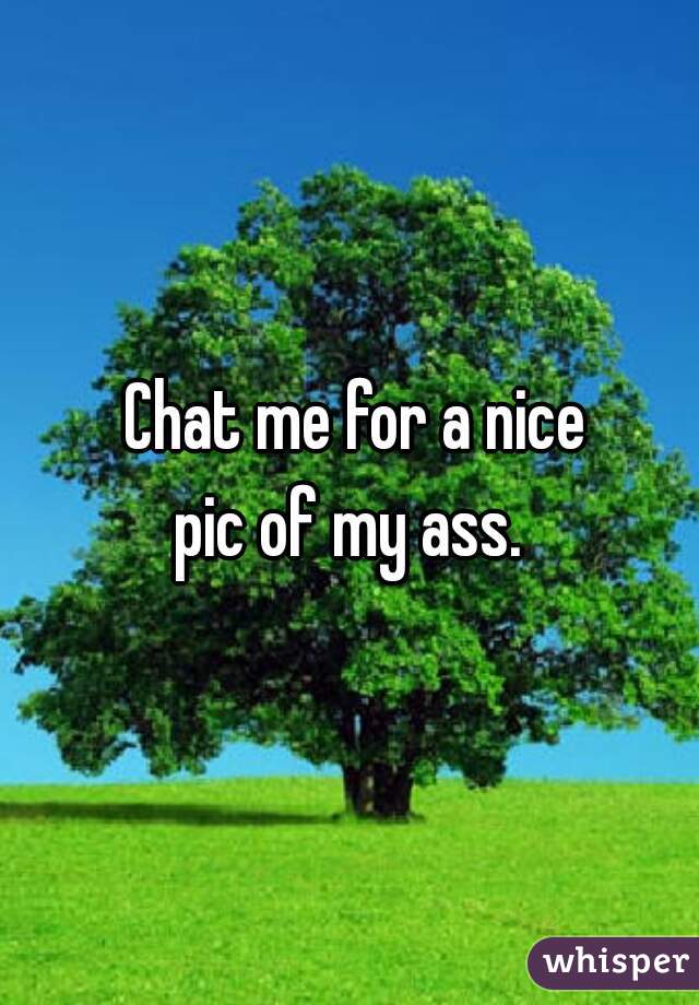  Chat me for a nice
pic of my ass.