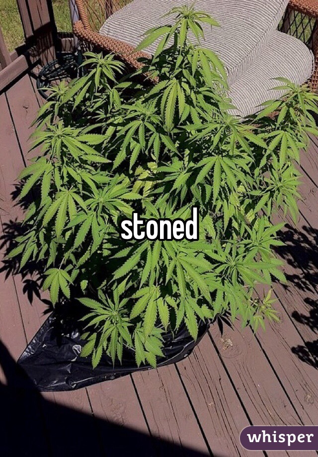 stoned
