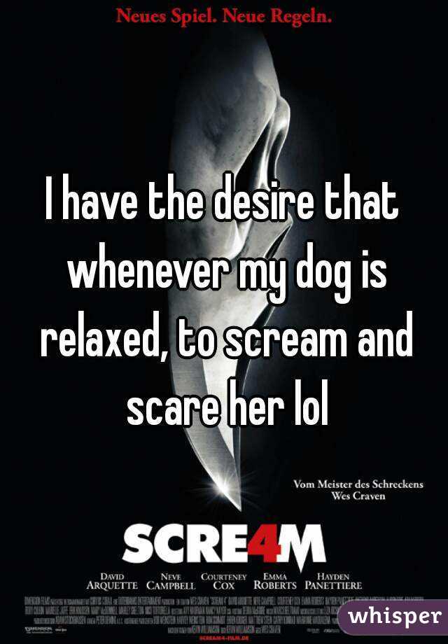 I have the desire that whenever my dog is relaxed, to scream and scare her lol