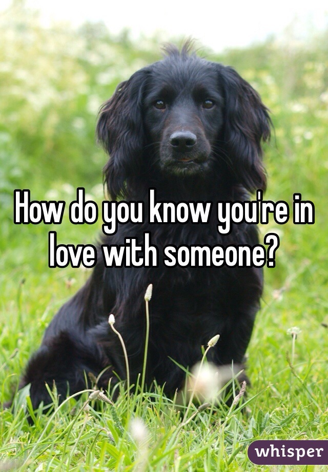 How do you know you're in love with someone?