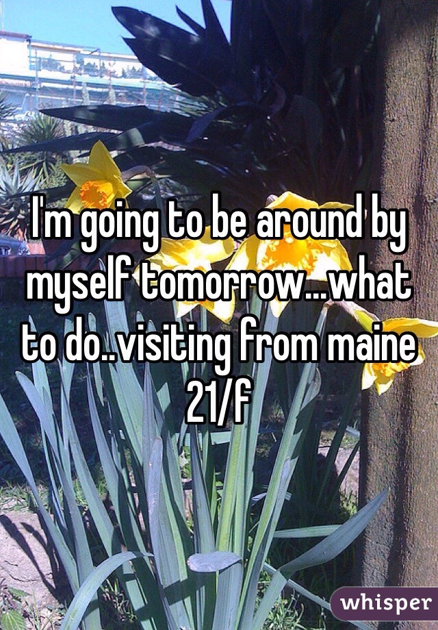 I'm going to be around by myself tomorrow...what to do..visiting from maine 21/f 