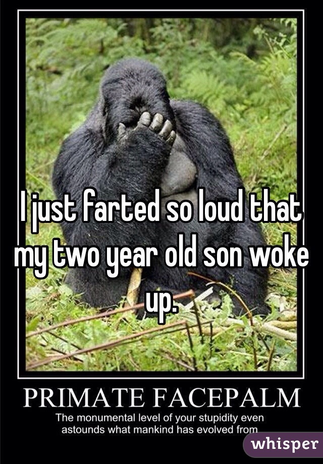 I just farted so loud that my two year old son woke up.