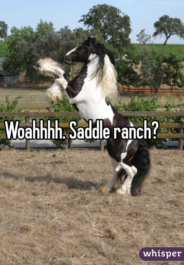 Woahhhh. Saddle ranch?