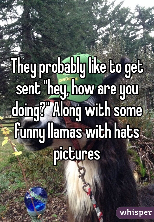 They probably like to get sent "hey, how are you doing?" Along with some funny llamas with hats pictures