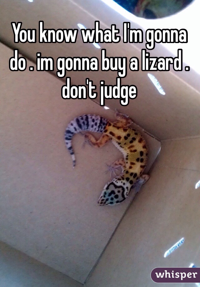 You know what I'm gonna do . im gonna buy a lizard .
don't judge 