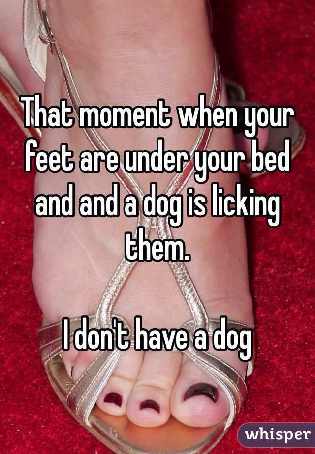 That moment when your feet are under your bed and and a dog is licking them.

I don't have a dog