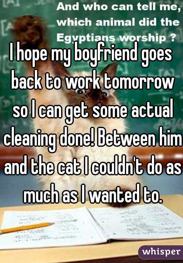 I hope my boyfriend goes back to work tomorrow so I can get some actual cleaning done! Between him and the cat I couldn't do as much as I wanted to.