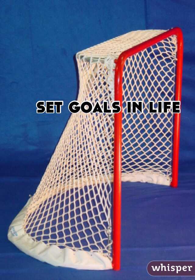 set goals in life