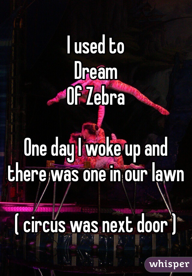 I used to
Dream
Of Zebra 

One day I woke up and there was one in our lawn 

( circus was next door )