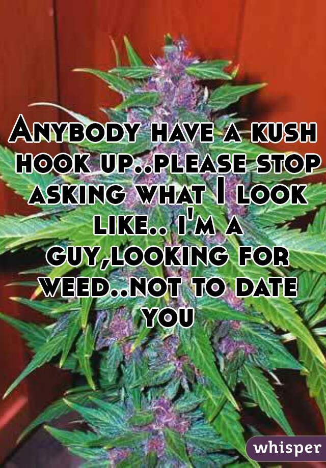 Anybody have a kush hook up..please stop asking what I look like.. i'm a guy,looking for weed..not to date you