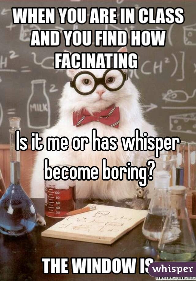Is it me or has whisper become boring?
