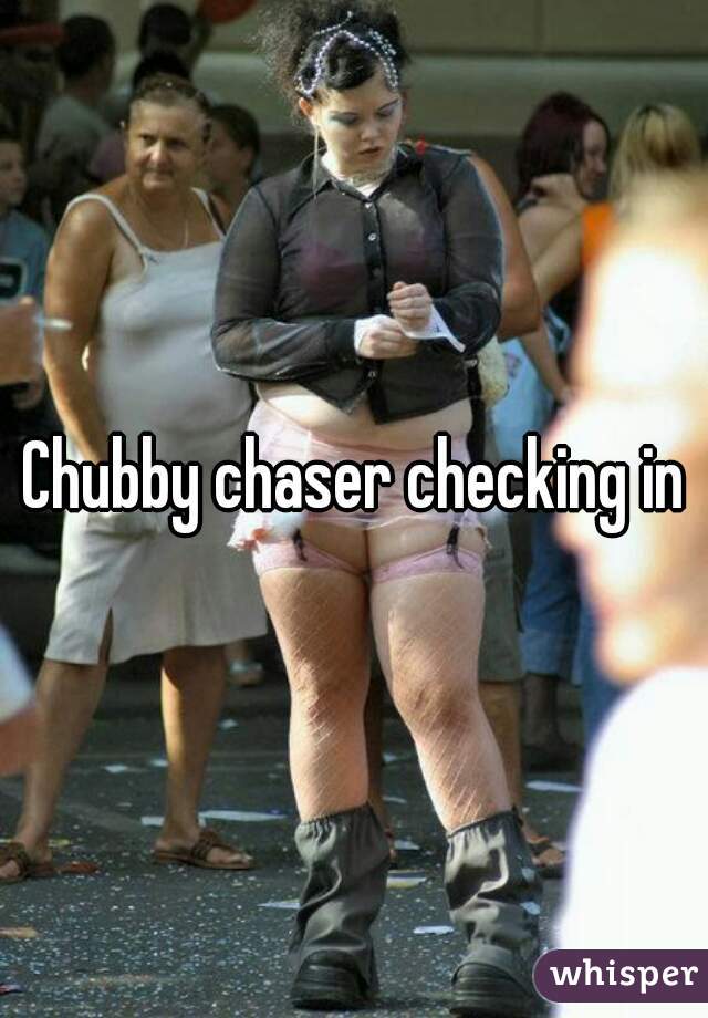 Chubby chaser checking in