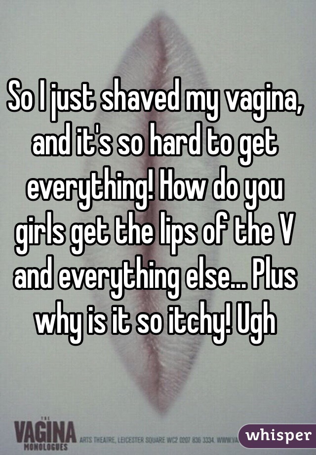 So I just shaved my vagina, and it's so hard to get everything! How do you girls get the lips of the V and everything else... Plus why is it so itchy! Ugh