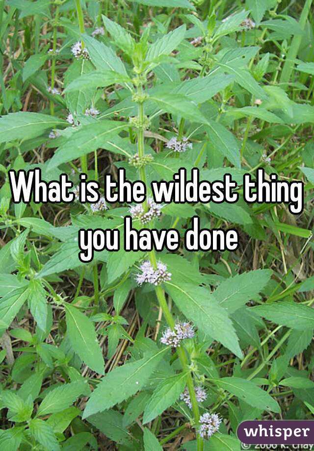 What is the wildest thing you have done