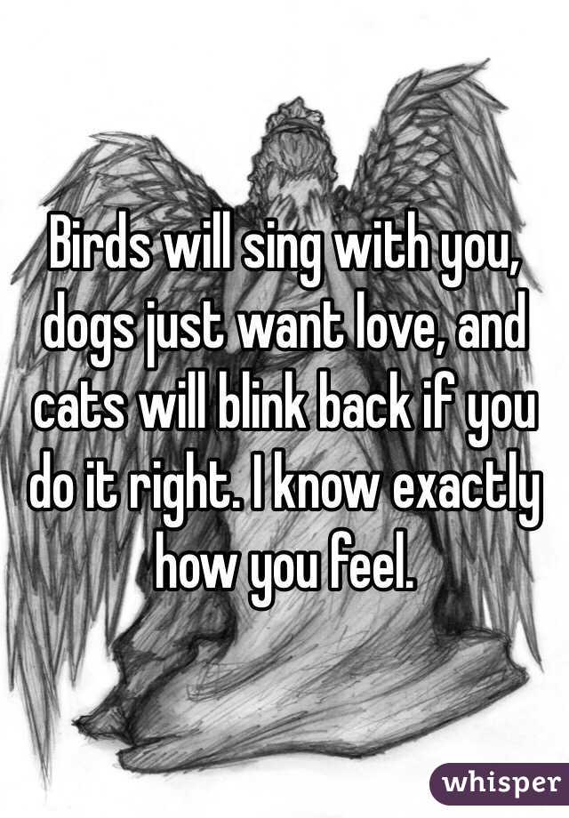 Birds will sing with you, dogs just want love, and cats will blink back if you do it right. I know exactly how you feel.