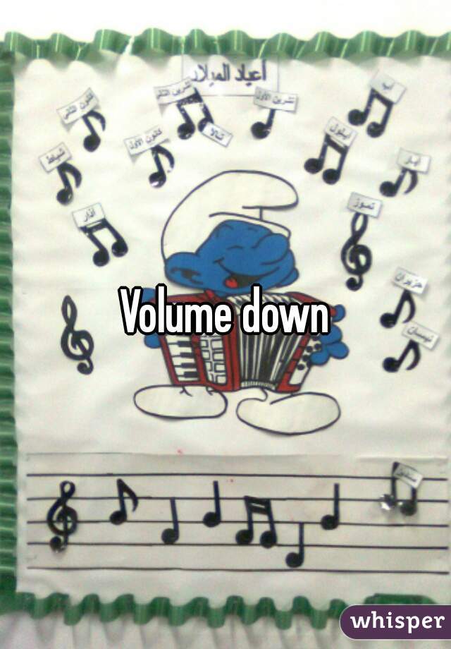 Volume down