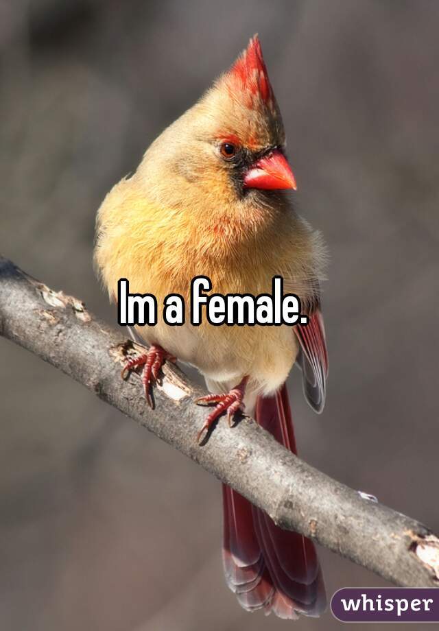 Im a female. 