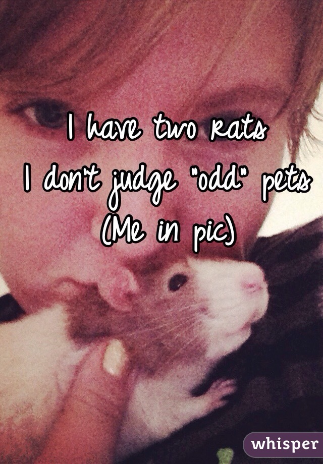 I have two rats
I don't judge "odd" pets
(Me in pic)