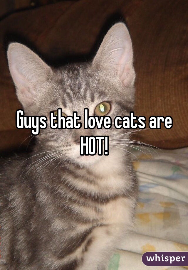 Guys that love cats are HOT!