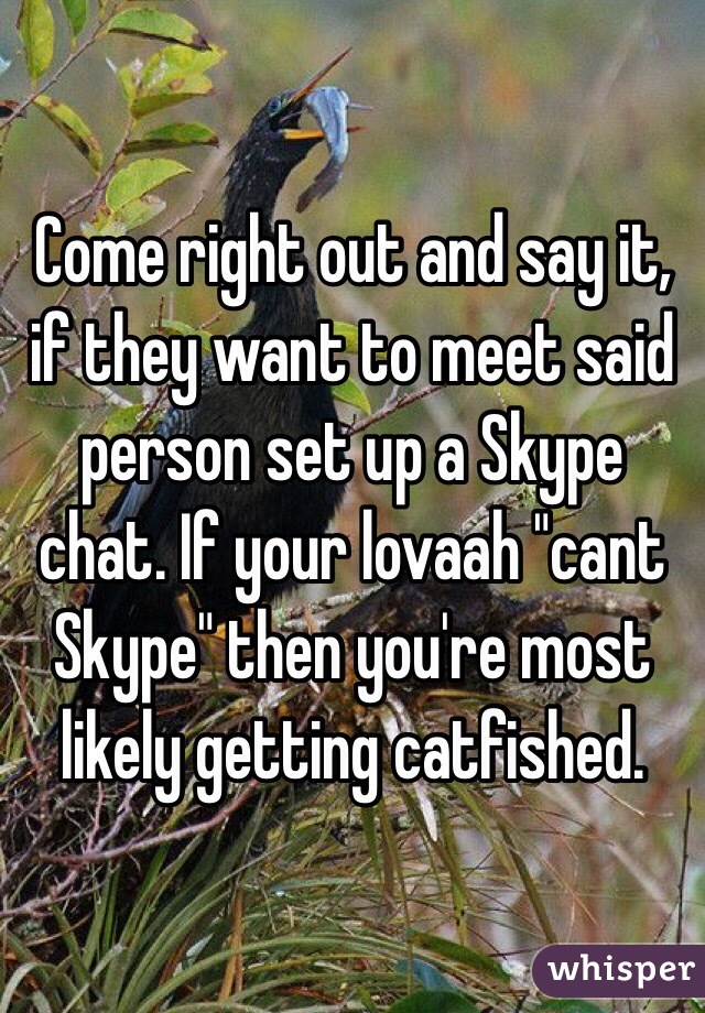 Come right out and say it, if they want to meet said person set up a Skype chat. If your lovaah "cant Skype" then you're most likely getting catfished. 