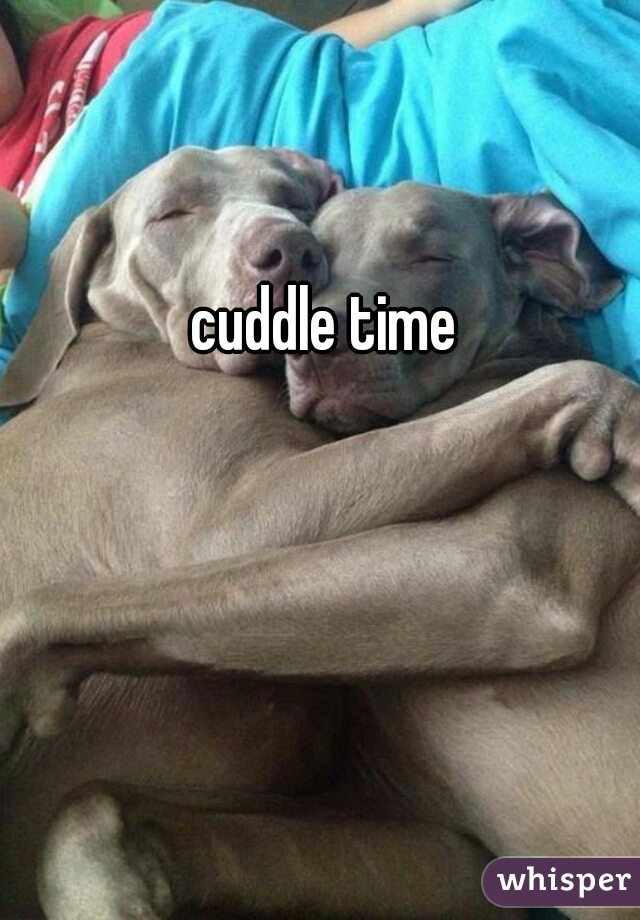 cuddle time