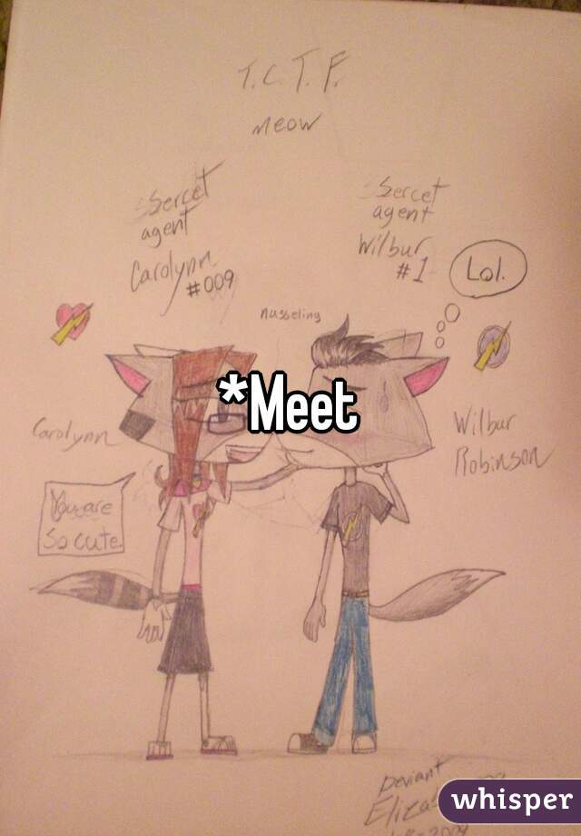 *Meet