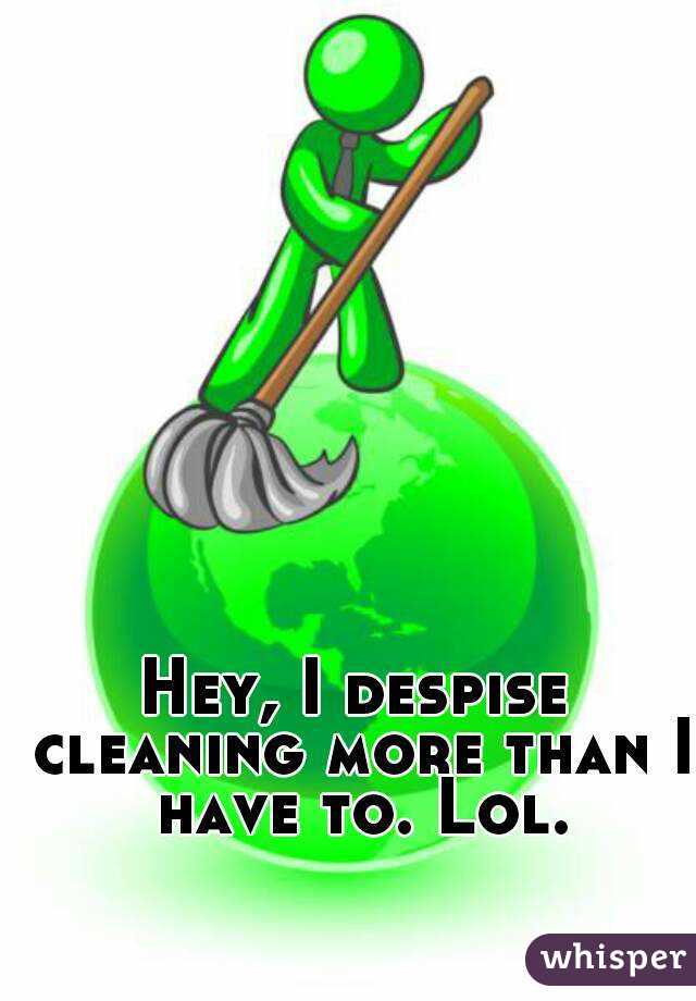 Hey, I despise cleaning more than I have to. Lol.