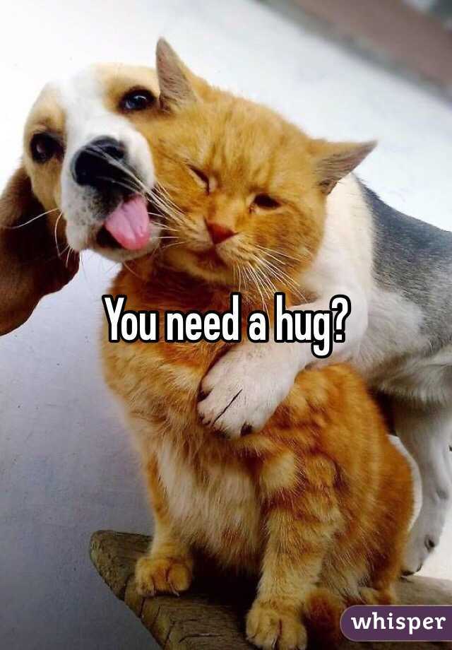 You need a hug?
