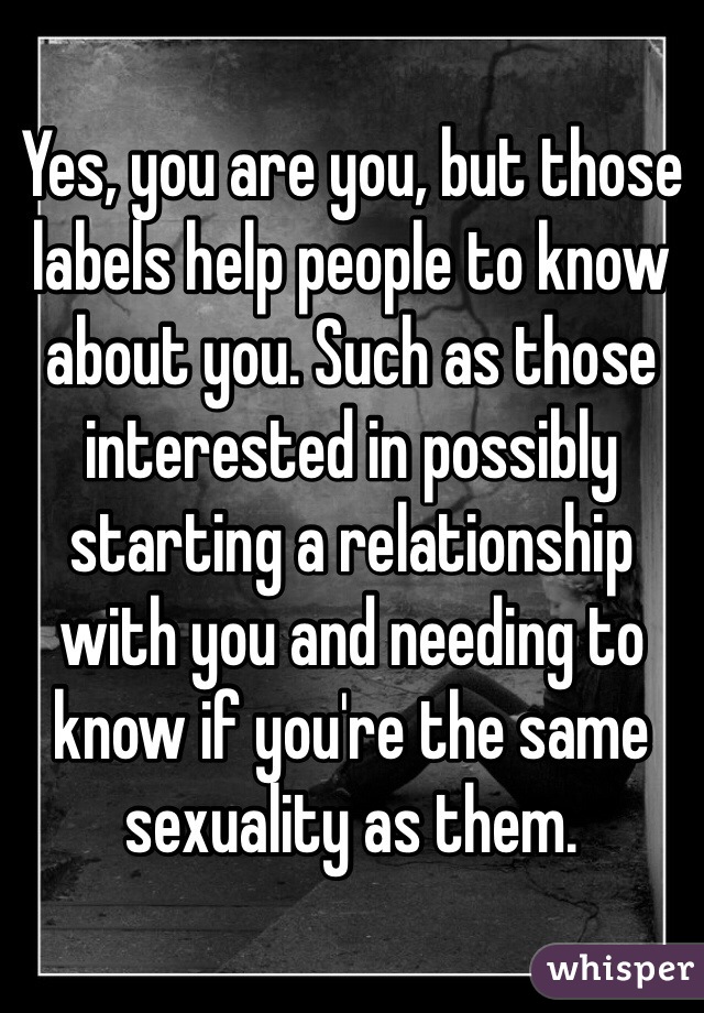 Yes, you are you, but those labels help people to know about you. Such as those interested in possibly starting a relationship with you and needing to know if you're the same sexuality as them. 
