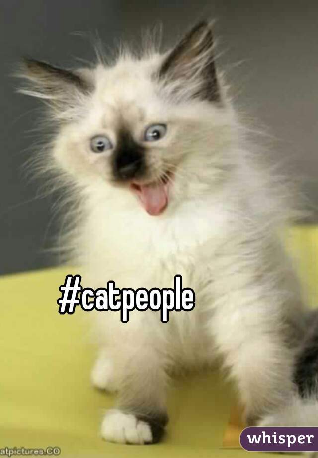 #catpeople
