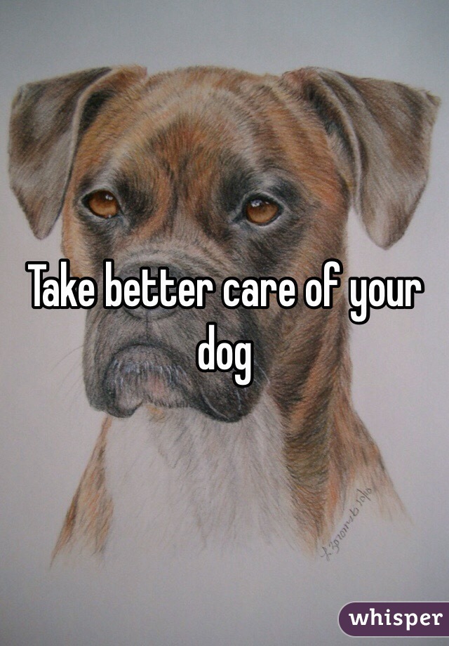 Take better care of your dog