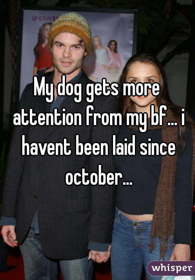 My dog gets more attention from my bf... i havent been laid since october...