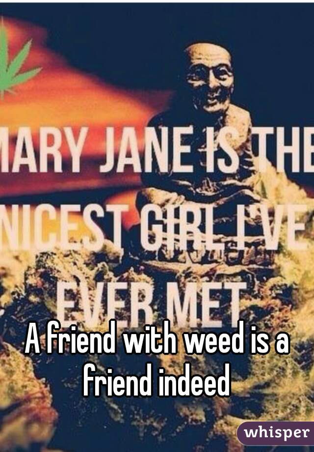 A friend with weed is a friend indeed 
