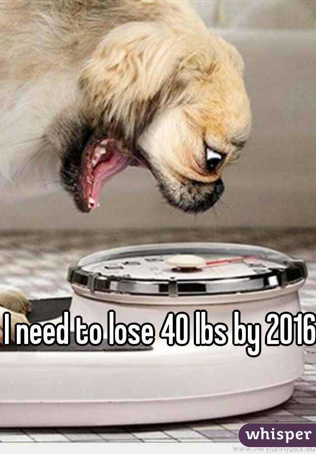 I need to lose 40 lbs by 2016  