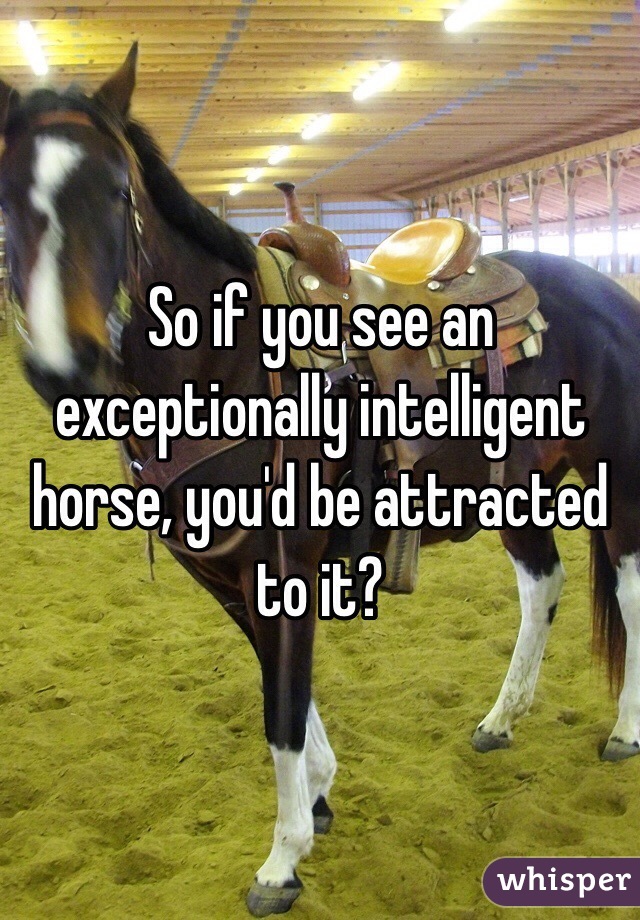 So if you see an exceptionally intelligent horse, you'd be attracted to it?