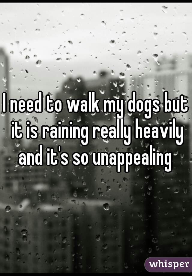 I need to walk my dogs but it is raining really heavily and it's so unappealing 