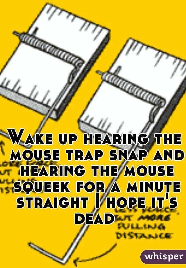Wake up hearing the mouse trap snap and hearing the mouse squeek for a minute straight I hope it's dead 