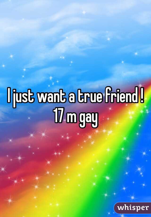 I just want a true friend ! 
17 m gay 