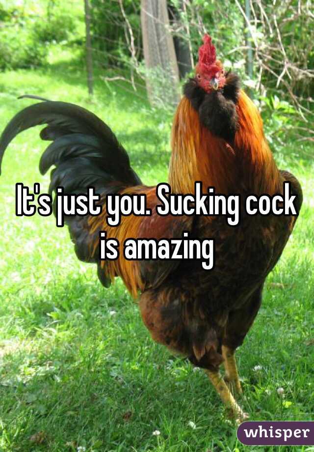 It's just you. Sucking cock is amazing 