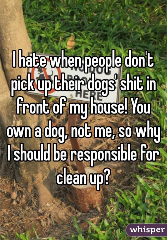 I hate when people don't pick up their dogs' shit in front of my house! You own a dog, not me, so why I should be responsible for clean up?