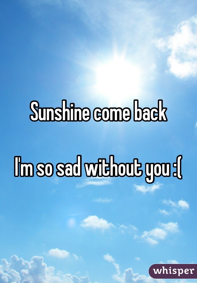 Sunshine come back

I'm so sad without you :( 