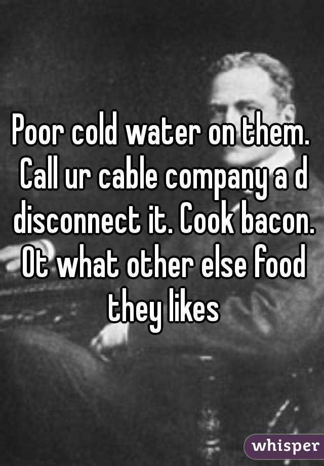 Poor cold water on them. Call ur cable company a d disconnect it. Cook bacon. Ot what other else food they likes