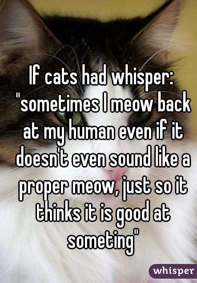 If cats had whisper: "sometimes I meow back at my human even if it doesn't even sound like a proper meow, just so it thinks it is good at someting"
